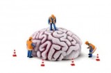 Brain Brain