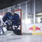 HC Vítkovice Ridera_hokej extraliga. Zdroj_ Red Bull CZ (Jan Kasl)
