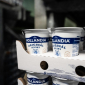 Hollandia_foto_tiskova_kvalita_Originál_Jogurt_Selský_bílý