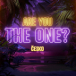 Are you the one