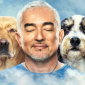 Cesar Millan_Cesar Millan