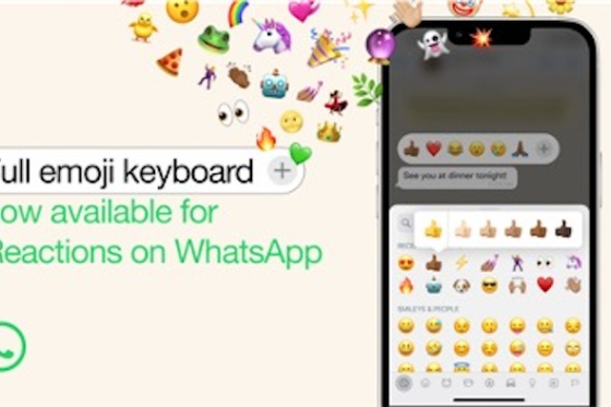 /media/21265/whatsapp-reakce