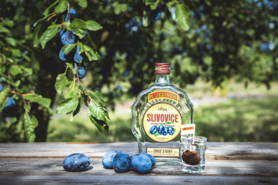 /media/aylh0ivf/rudolfjelinek