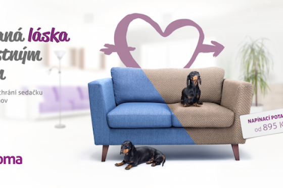 /media/1261/deco_doma-v03