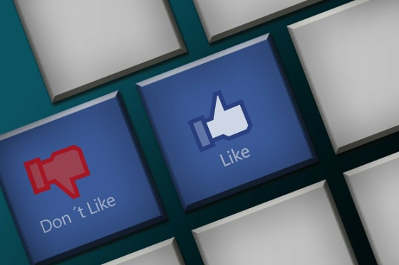 /media/idqpmu34/facebook_polarizace_pixabay