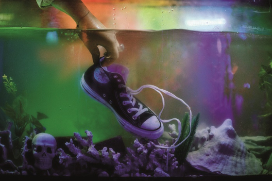 /media/6108/converse_chuck_atsat_fishtank