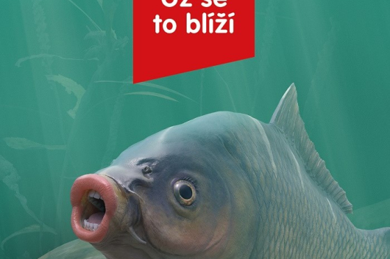 /media/9967/mallcz_uzsetoblizi