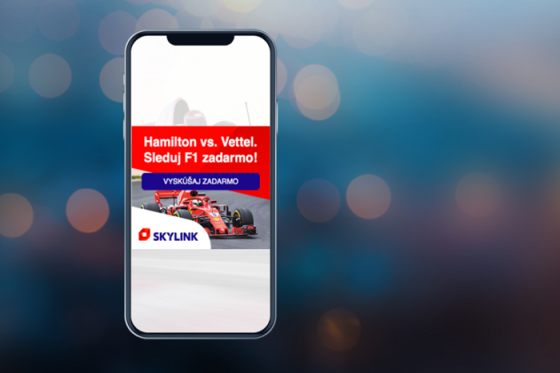 /media/10933/skylink_adform-dynamic-ad