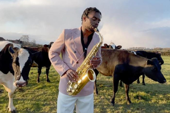 /media/17084/zalando_aktivisteoptimismu