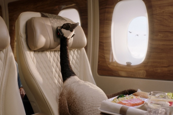 /media/22058/emirates-goose