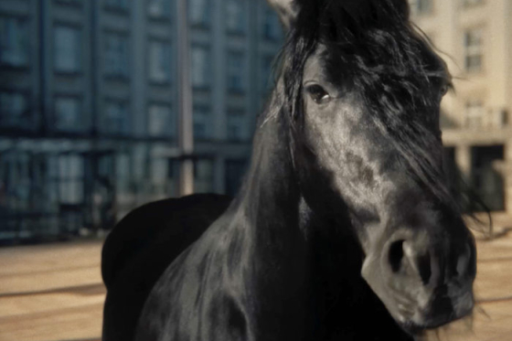 /media/tctbbewr/mustang