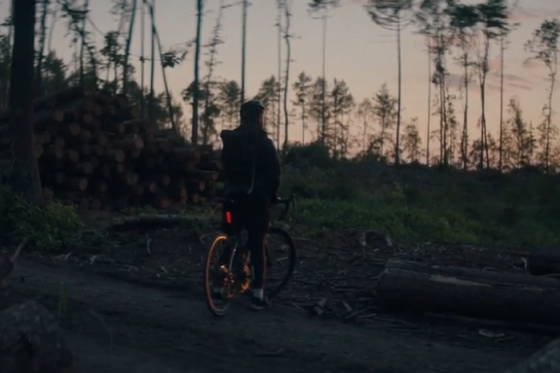 /media/13784/greenpeace