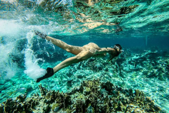 /media/14465/skinners