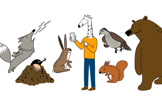 /media/24213/zonky_reklama