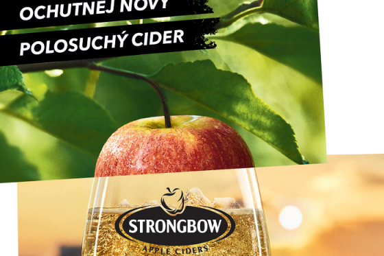 /media/5987/strongbow_polosuchy