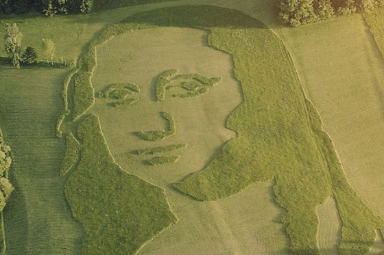 /media/6268/the-mow-na-lisa