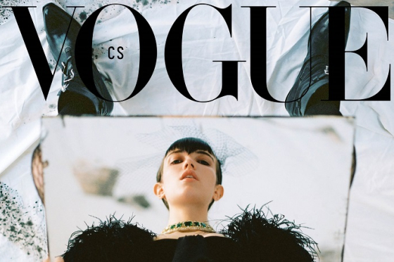/media/7724/vogue-cs