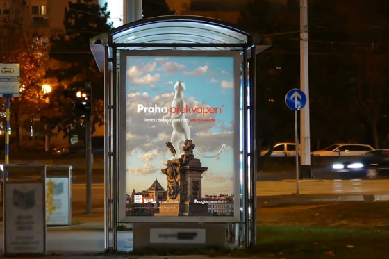 /media/11070/pis_2019