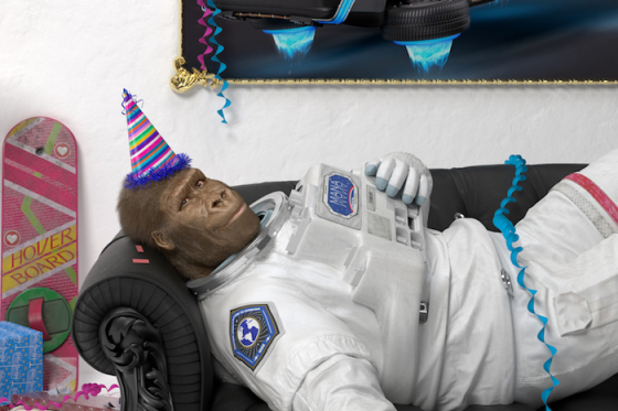 /media/11390/cosmo-ape_kampan_2020