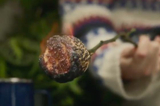 /media/12638/patagonia