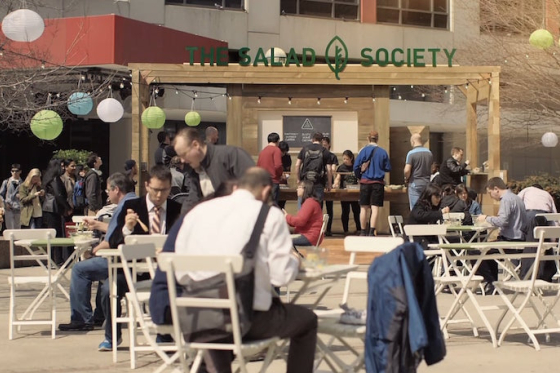 /media/2457/thesaladsociety