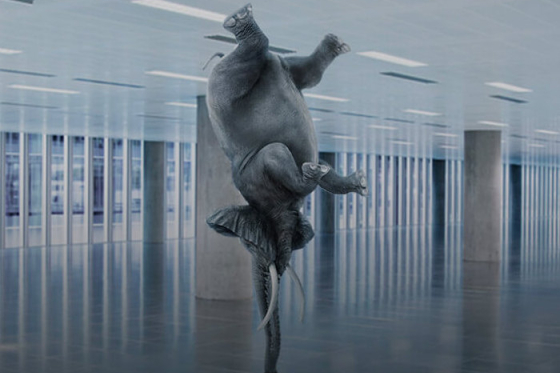 /media/23198/micro-focus-elephant