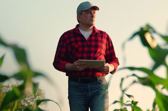 /media/sp5ni1ov/lidl-bio