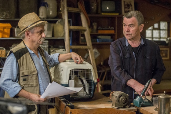 /media/5104/krejzovi_prima