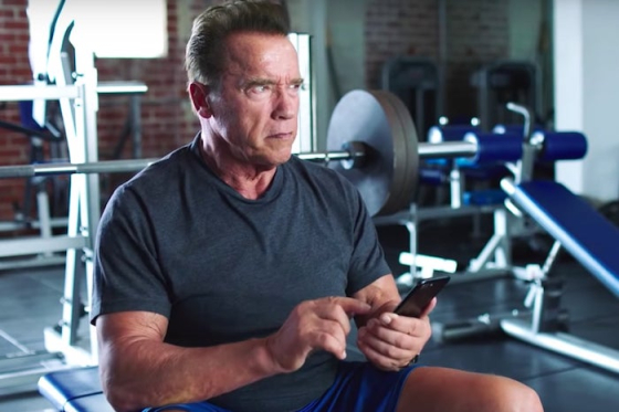 /media/8322/arnold-ladder