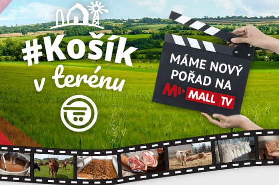 /media/10619/kosik_v_terenu