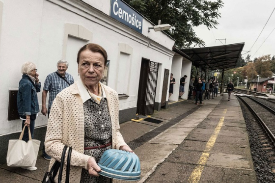 /media/12478/teroristka