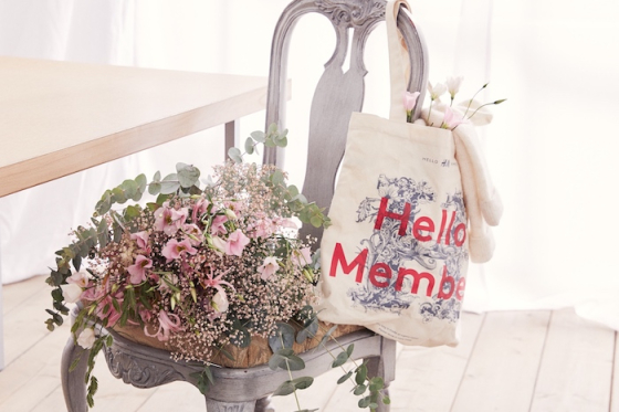 /media/12805/hellomember