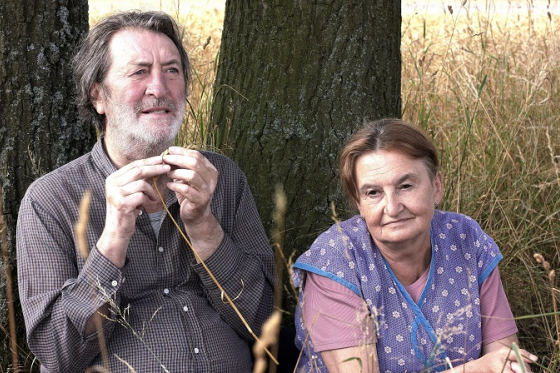 /media/21301/cestadomu