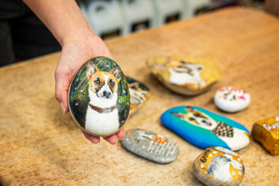 /media/25513/superzoo_gump