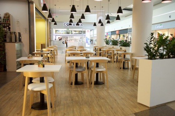 /media/5935/géčko_1