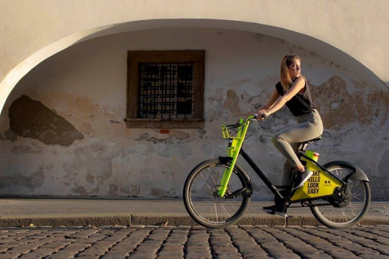 /media/8173/freeride