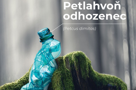 /media/8668/krnap_petlahvoň-odhozenec