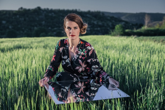 /media/13539/viddacesta