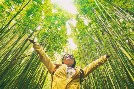 /media/16951/shutterstock_udržitelnost_2