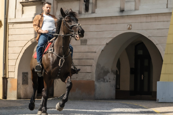 /media/21188/ostravar