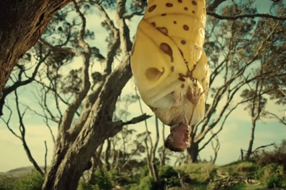 /media/cvwfnfov/hornbach_slider