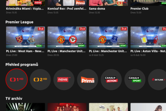 /media/24447/skylink-live-tv-kanály