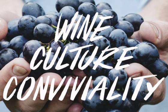 /media/wgobzyg4/vitaevino