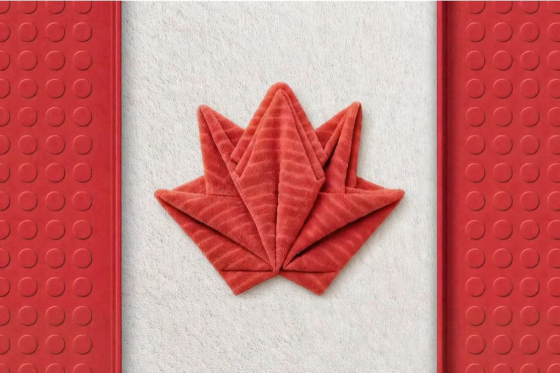 Assemble the World_Ikea Canada