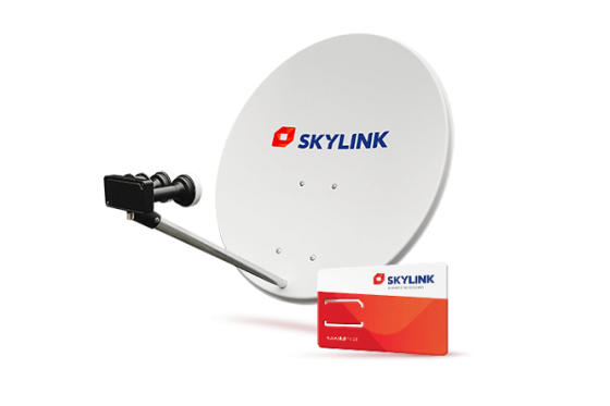 /media/5027/skylink_1