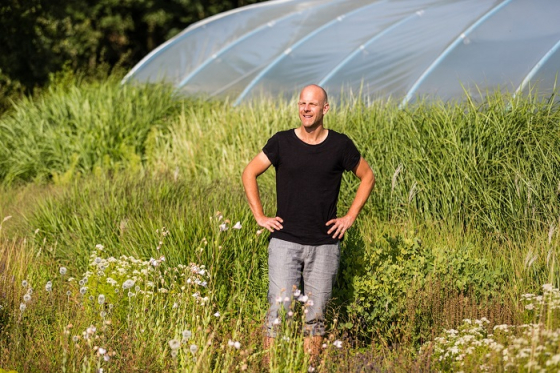 /media/7802/ferdinadovy-zahrady