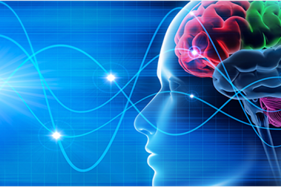 /media/1021/neuromarketing