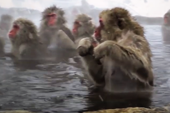 /media/11223/fio-banka