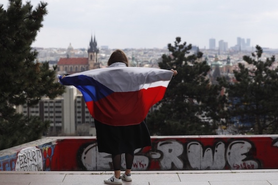 /media/12282/podjednouvlajkou