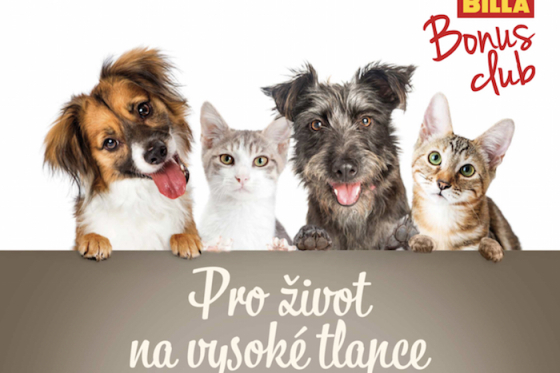 /media/12936/billa_sider